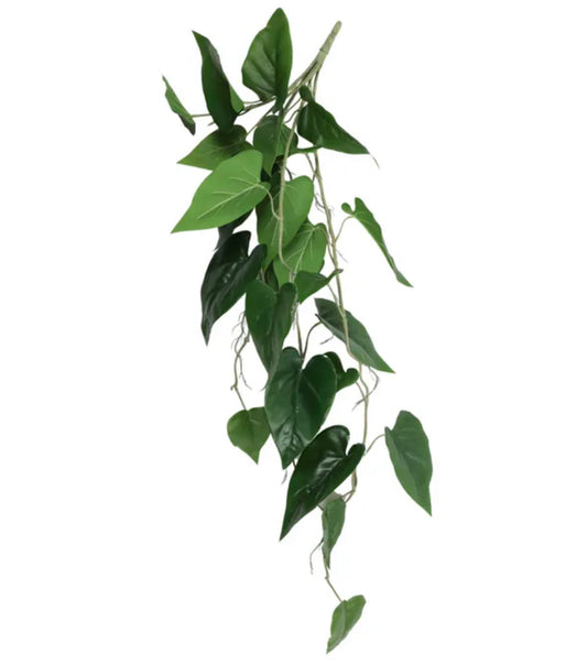 Hanging Anthurium Leaf